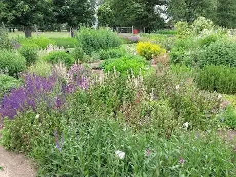 Photo de Arznei- und Gewürzpflanzengarten