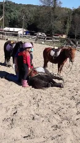 Photo de Ranch PF