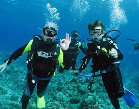 Photo de MEDUSADIVE