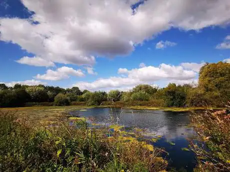 Photo de Rooksbury Mill Local nature Reserve Barlows Lane Car Park