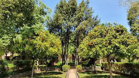 Photo de Jardins de la Casa Alegre de Sagrera