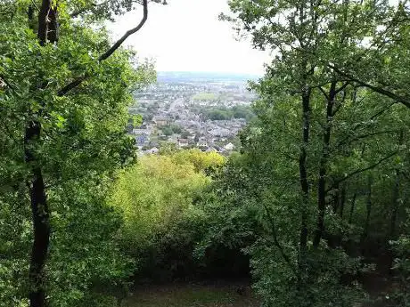 Photo de Parc de plein air des grottes à nichet
