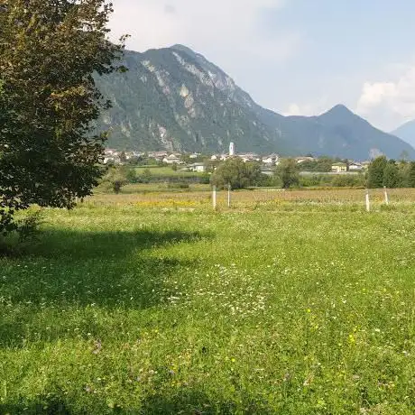 Photo de Riserva naturale provinciale Inghiaie