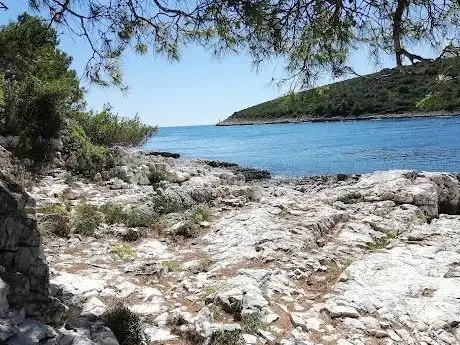 Photo de Uvala Paltana