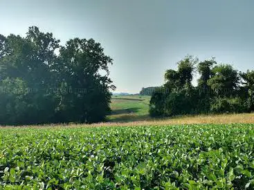 Photo de Natural Lands' ChesLen Preserve