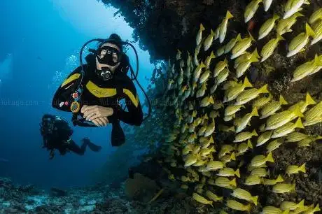 Photo de Scubaforma