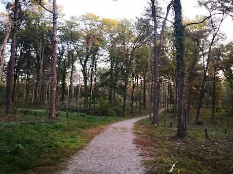 Photo de Parco delle Groane