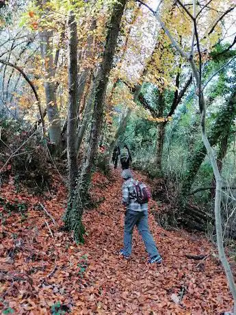 Photo de Sentiero della Carta