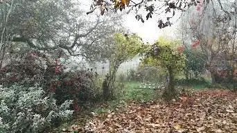 Photo de Moulin - Comme un Echo - API'zone Garden