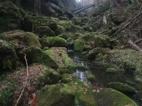 Photo de Suchá Kamenice