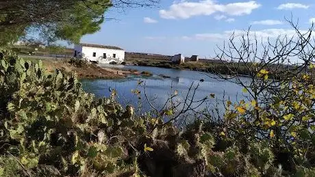 Foto de Parc naturel Marismas de Isla Cristina