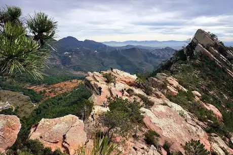 Photo de agulles de Santa Àgueda