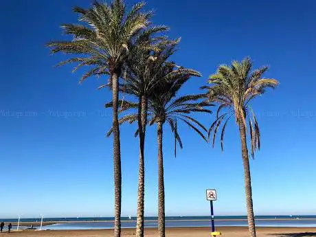 Photo de Malvarrosa Beach