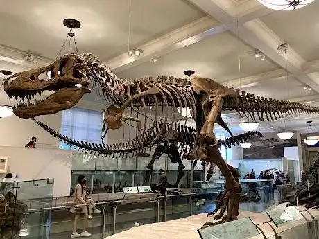 Photo de Muséum américain d'histoire naturelle
