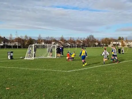 Meadowbrook Pitches