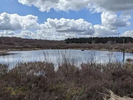 Photo de Fagne de Brackvenn