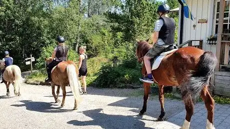 Photo de Stable Lövås