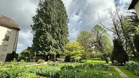 Photo of Parc du Jardin botanique