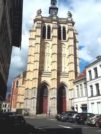Photo de Église Catholique Collégiale Saint-Pierre à Douai