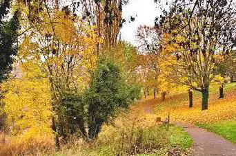 Photo de Parc Montreau