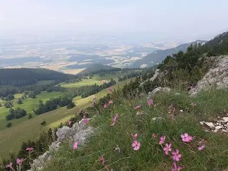 Photo de Aiguilles de Baulmes