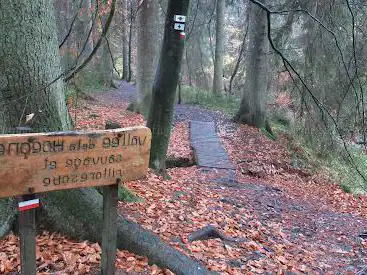 Photo de Promenade de la Hoëgne