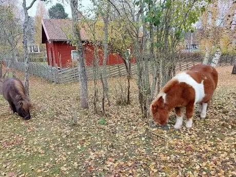 Photo de Högbo Bruks Djur & Lekplats