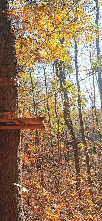 Photo de Indian Forest Yvelines