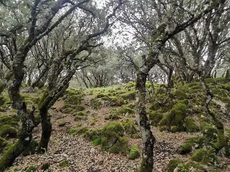 Photo de Polje Nava de Cabra - Sendero rÃ­o Bailón