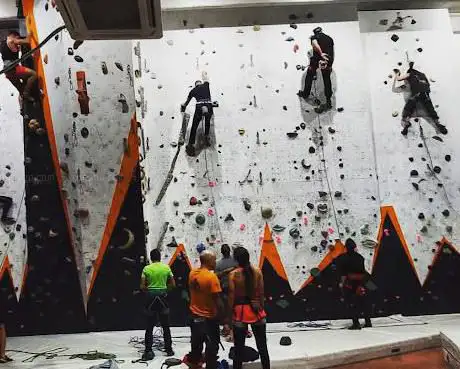 Photo de Jungle Rock - indoor climbing