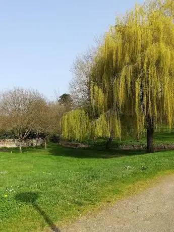 Photo de Espace St Jouin