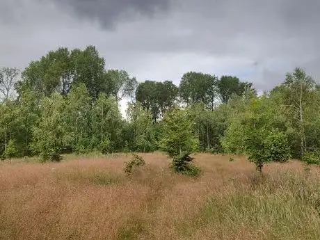 Photo de Älganäs naturreservat