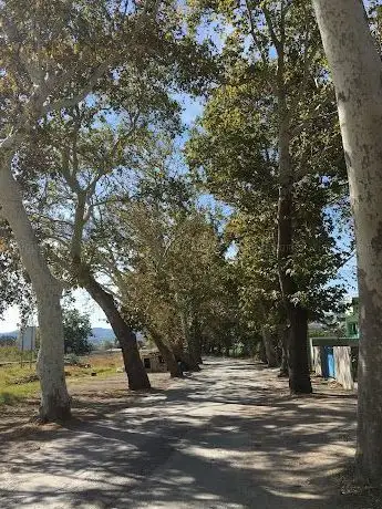 Photo de Tarihi Çınar Yolu  Dörtyol Çanakkale