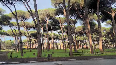 Photo de Parc Clemente Riva