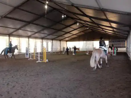 Photo de Scuderia Crazy Jumping