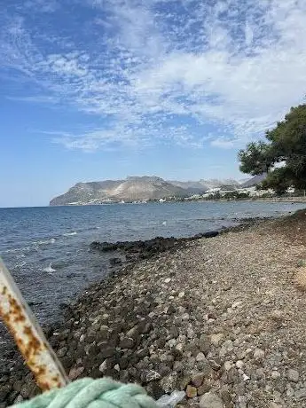 Photo de Bozyazı Belediyesi Atatürk Çamlığı