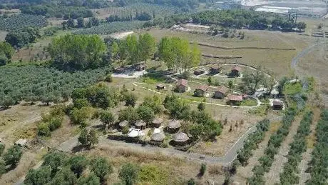 Photo de Aktopraklık Höyük Open Air Museum and Archeopark
