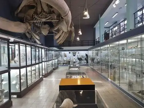 Photo of Museum of Zoology KULeuven