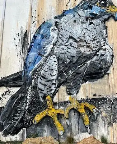 Photo de Falcão Peregrino  by Bordalo II