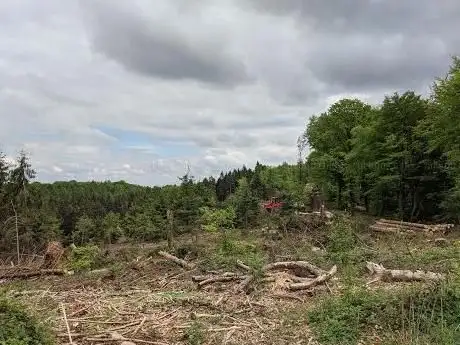 Photo de Bank mit schöner Aussicht