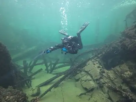 Photo de Shark&Eagle