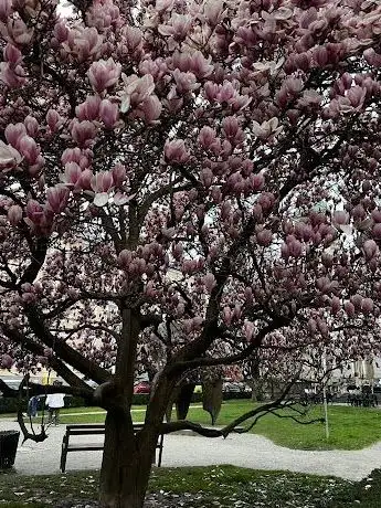 Photo de Makartplatz