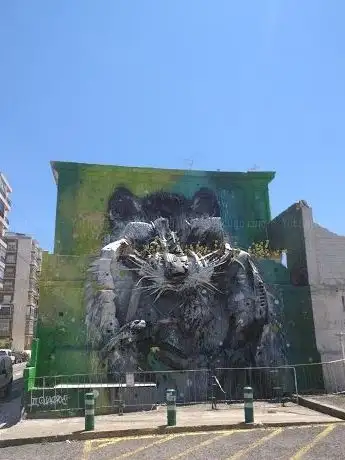 Photo de Street art Raton laveur par B0rdallo II