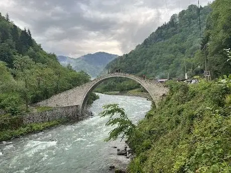 Photo de Şenyuva Bridge