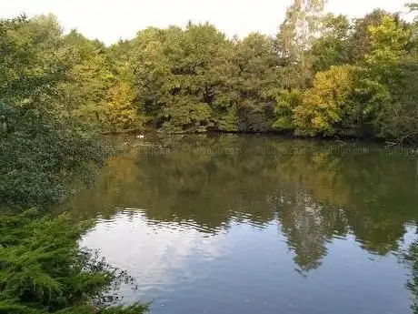 Photo de Station des oiseaux