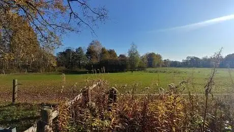 Photo de Waldparkbucht Tangstedter Forst