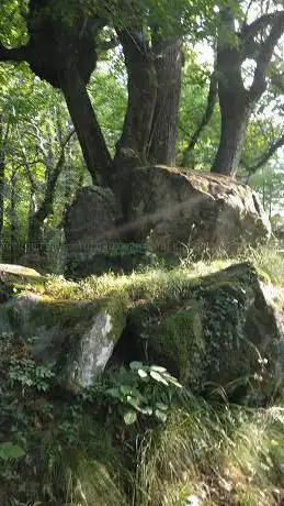 Photo de Altare Celtico