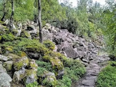 Photo de Felsenmeer Russenstein Naturpark Michelsbrunnen