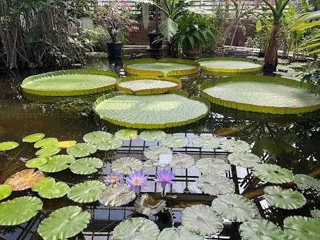 Photo de Hortus Botanicus Leiden