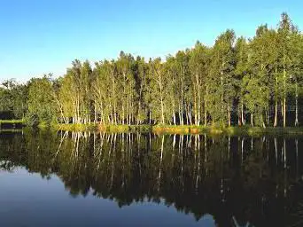 Photo de Etang Fère En Tardenois